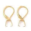 304 Stainless Steel Leverback Earring Findings STAS-U025-01G-01-1