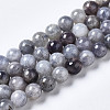 Natural Iolite Beads Strands G-N328-50A-01-1