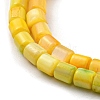 Natural Freshwater Shell Beads Strands SHEL-F008-04E-3