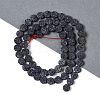 Frosted Natural Lava Rock Beads Strands G-E618-03-2