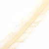 Chinlon Elastic Lace Trim EW-WH0013-18A-1