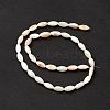 Natural Freshwater Shell Dyed Beads Strands SHEL-M018-13-13-3