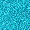 MIYUKI Round Rocailles Beads SEED-G008-RR4480-3