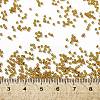 TOHO Round Seed Beads SEED-JPTR15-0022C-4