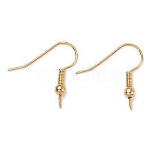 Brass Earring Hooks X-KK-F824-017G