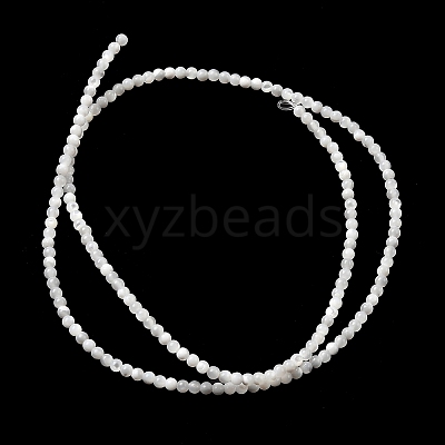 Natural White Shell Beads X-G-N0190-11-2mm-1