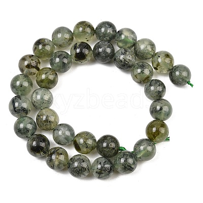 Natural Prehnite Beads Strands G-P322-48-12mm-1