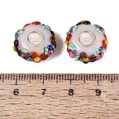 Handmade Lampwork & Brass Core European Beads LS-LAMP-N044-06S-01-1