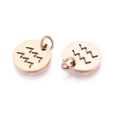 304 Stainless Steel Charms STAS-Q201-T445-11R-1