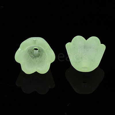 Transparent Acrylic Beads X-FACR-N005-001-1