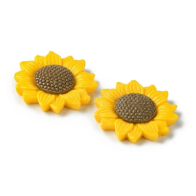 Opaque Resin Cabochons RESI-H146-02B-1