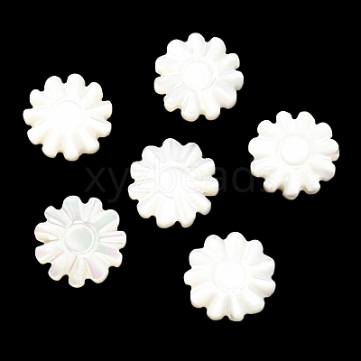 Natural Trochid Shell/Trochus Shell Beads SSHEL-R145-01-1