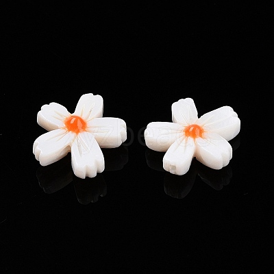 Natural Freshwater Shell Beads Strands SHEL-F004-04-01-1