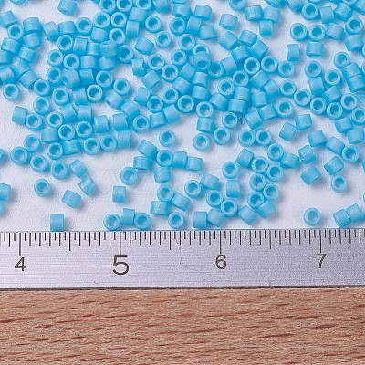 MIYUKI Delica Beads Small X-SEED-J020-DBS0879-1