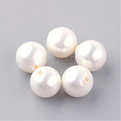 Natural Sea Shell Beads SHEL-Q008-18-10mm-1