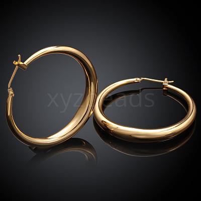 Adorable Design Ring Brass Hoop Earrings EJEW-BB07351-G-1