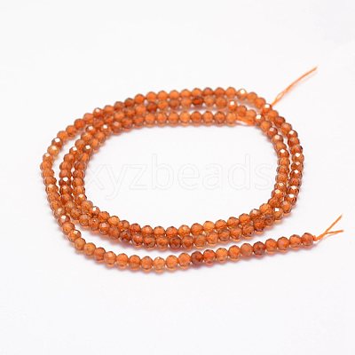 Natural Garnet Beads Strands G-F460-47-1