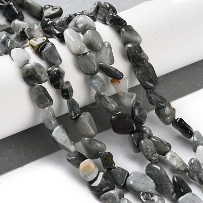Natural Eagle Eye Stone Beads Strands G-P497-01C-52-1
