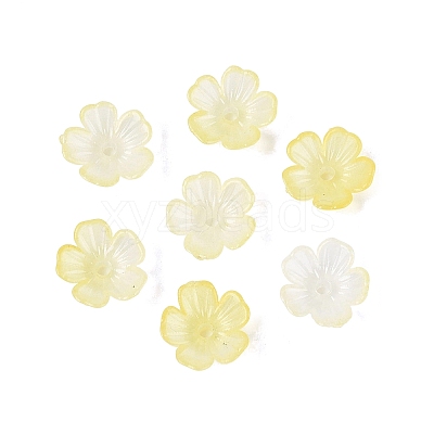 Transparent Plastic Bead Caps KY-Q005-02A-02-1
