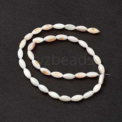 Natural Freshwater Shell Dyed Beads Strands SHEL-M018-13-13-1