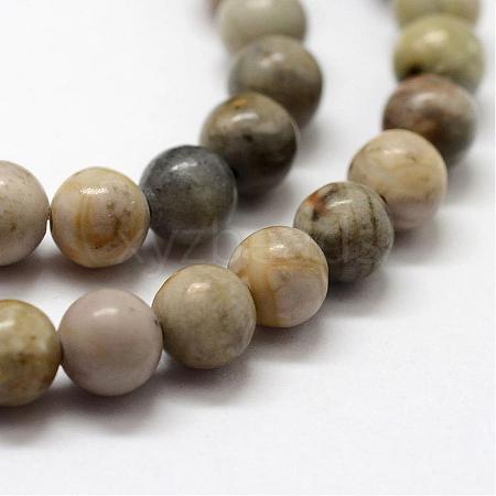 Natural Polychrome Jasper/Picasso Stone/Picasso Jasper Bead Strands G-G667-01-6mm-1