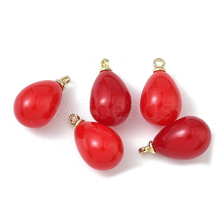 ABS Plastic Pearl Pendants FIND-Z105-02LG-1