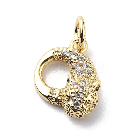 Brass Micro Pave Cubic Zirconia Charms ZIRC-F131-03G-1