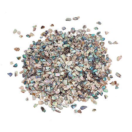 AHADERMAKER 1 Bags Abalone Shell Flakes Cabochons SHEL-GA0001-17A-1