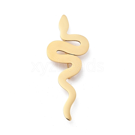 201 Stainless Steel Snake Brooches JEWB-C037-31G-1