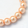 Baking Painted Pearlized Glass Pearl Round Bead Strands HY-Q003-10mm-18-2