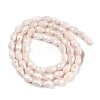 Opaque Solid Color Electroplate Glass Beads Strands EGLA-N013-P6mm-B08-2