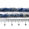 Natural Blue Spot Jasper Beads Strands G-Q178-A16-01-5