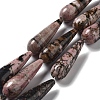 Natural Rhodonite Beads Strands G-P528-H16-01-1