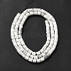 Natural Howlite Beads Strands G-I341-04-4