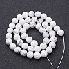 Natural Howlite Bead Strands G-G735-66-10mm-3