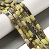 Natural Yellow Turquoise(Jasper) Beads Strands G-B078-J01-01-2