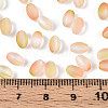 Frosted Glass Seed Beads SEED-N008-05D-4