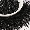 8/0 Transparent Glass Seed Beads SEED-F003-03B-08-1