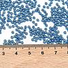 MIYUKI Round Rocailles Beads X-SEED-G007-RR5116-4