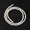 Natural Trochus Shell Beads Strands BSHE-S304-09B-2