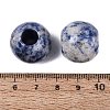 Natural Blue Spot Jasper Beads G-Q608-05H-3