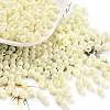 Baking Paint Glass Seed Beads X1-SEED-A032-02I-1