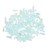 Frosted Glass Beads FGLA-L001-001K-1