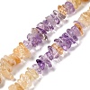 Natural Citrine & Amethyst Beads Strands G-L610-A06-B01-1