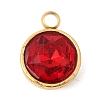 Birthstone Theme January 304 Stainless Steel Pendants STAS-K239-01G-A01-1