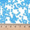 TOHO 6/0 Round Beads SEED-TR06-0163B-4