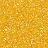 MIYUKI Delica Beads SEED-X0054-DB1562-3