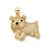 Rack Plating Brass Micro Pave Cubic Zirconia Enamel Pendants KK-L226-032G-02-1