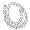 Natural Quartz Crystal Beads Strands G-C079-B06-03-3