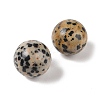 Natural Dalmatian Jasper No Hole Sphere Beads G-K353-04D-16-2